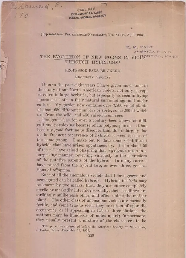 The Evolution Of New Forms In Viola Through Hybridism  By Brainerd, Ezra 1