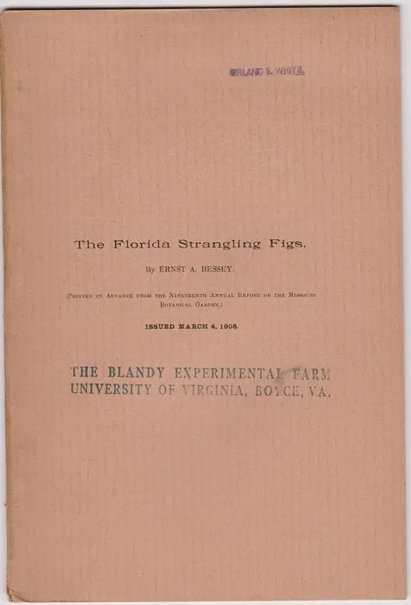 The Florida Strangling Figs 1