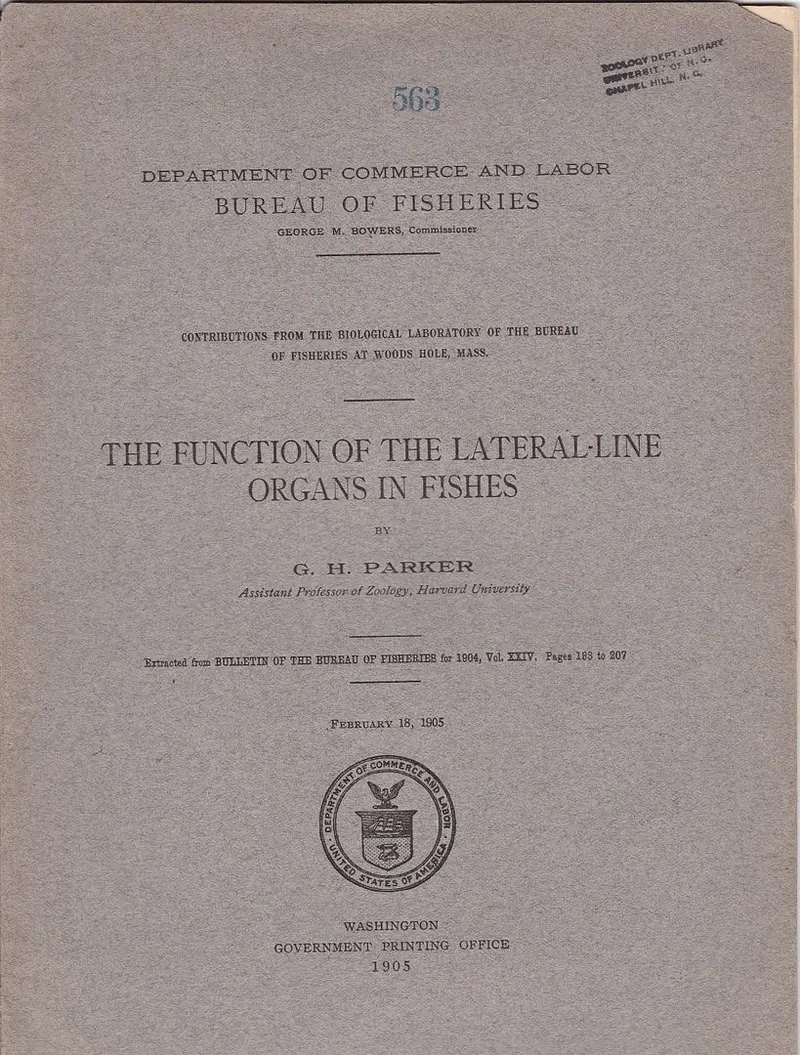 The Function Of The Lateral-Line Organs In Fishes 1