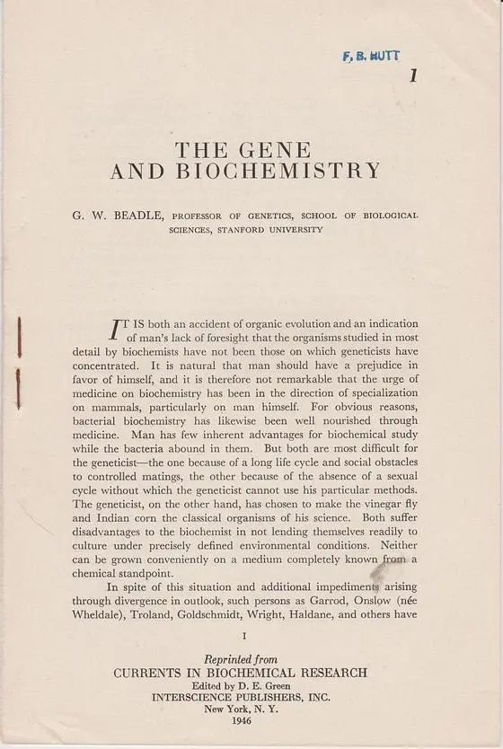 The Gene And Biochemistry 1