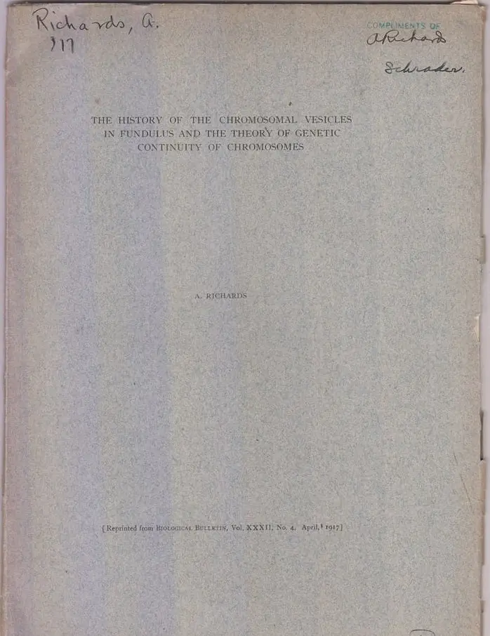 The History Of The Chromosomal Vesicles In Fundulus And The Theory Of Genetic Continuity Of Chromosomes  By Richards, A. 1