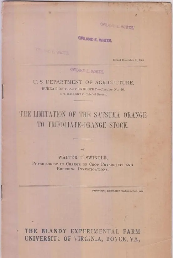 The Limitation Of The Satsuma Orange To Trifoliate-Orange Stock  By Swingle, Walter T. 1