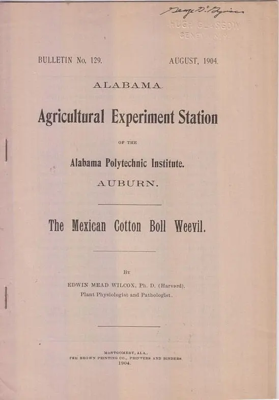 The Mexican Cotton Boll Weevil  By Wilcox, Edwin Mead 1