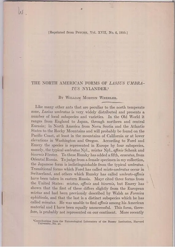 The North American Forms Of Lasius Umbratus Nylander  By Wheeler, William Morton 1