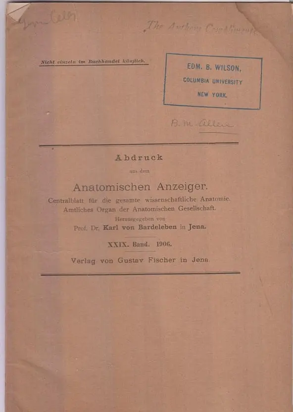 The Origin Of Sex-Cells Of Chrysemys By Allen, Bennet M. 1