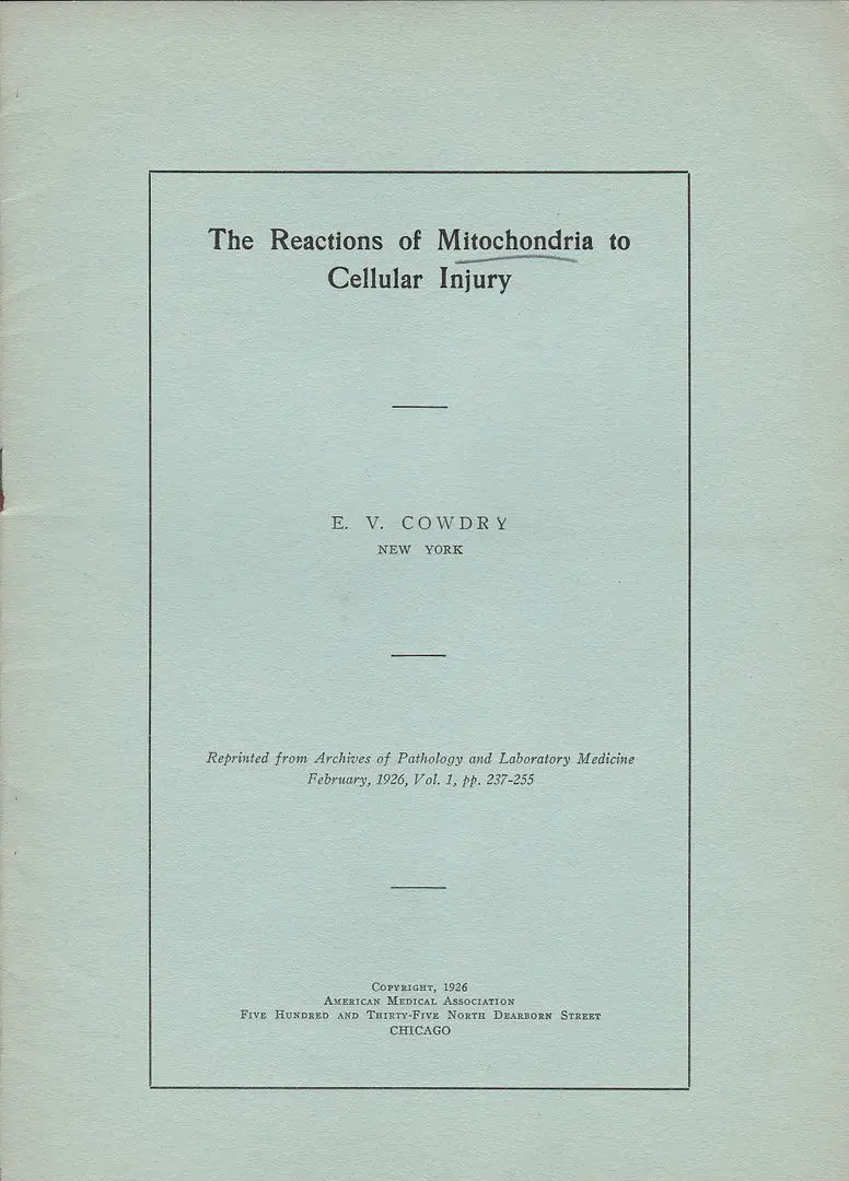 The Reactions Of Mitochondria To Cellular Injury 1