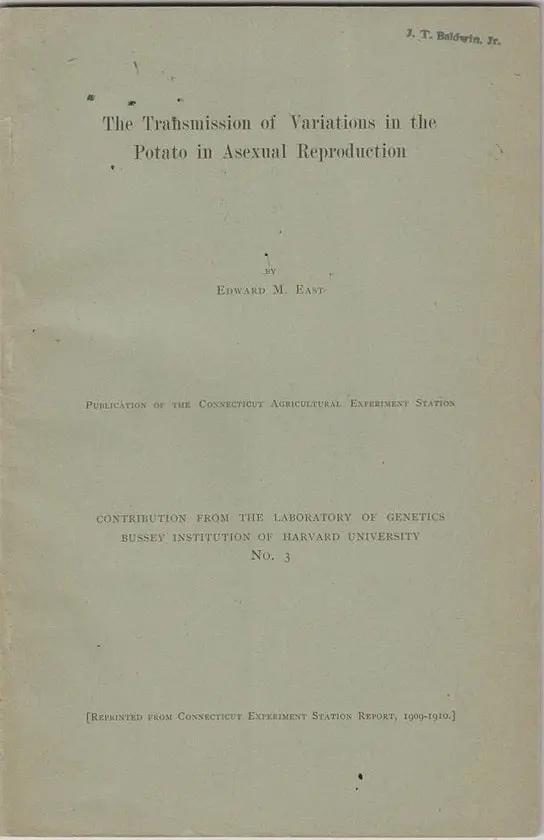 The Transmission Of Variations In The Potato In Asexual Reproduction 1