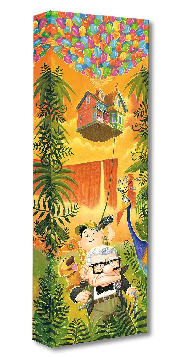 Treasures On Canvas – Journey To Paradise Falls 1