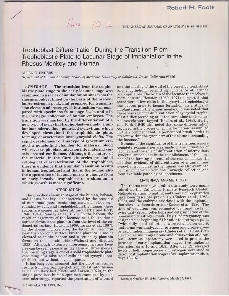 Trophoblast Differentiation During The Transition From Trophoblastic Plate To Lacunar Stage Of Implantation In The Rhesus Monkey And Human. By Enders, Allen C. 1