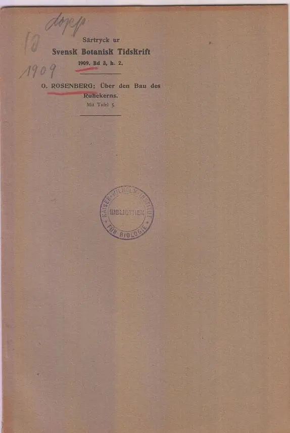 Uber Den Bau Des Ruherkerns  By Rosenberg, O. 1
