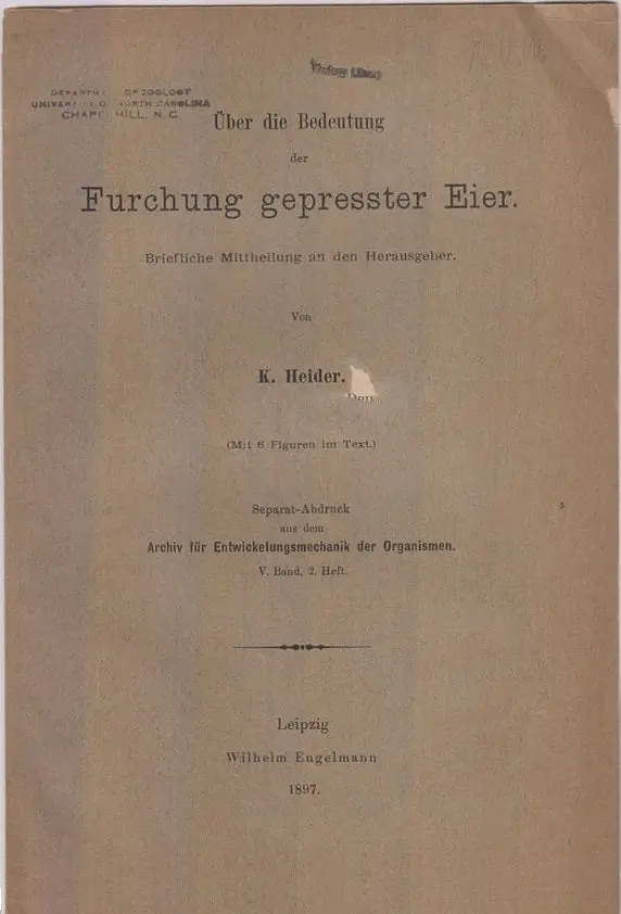 Uber Die Bedeutung Der Furchung Gepresster Eier  By Heider, K. 1