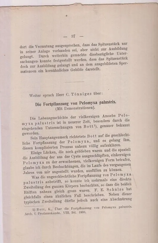 Uber Die Fortpflanzung Von Pelomyxa Palustris By Bott, K. 1