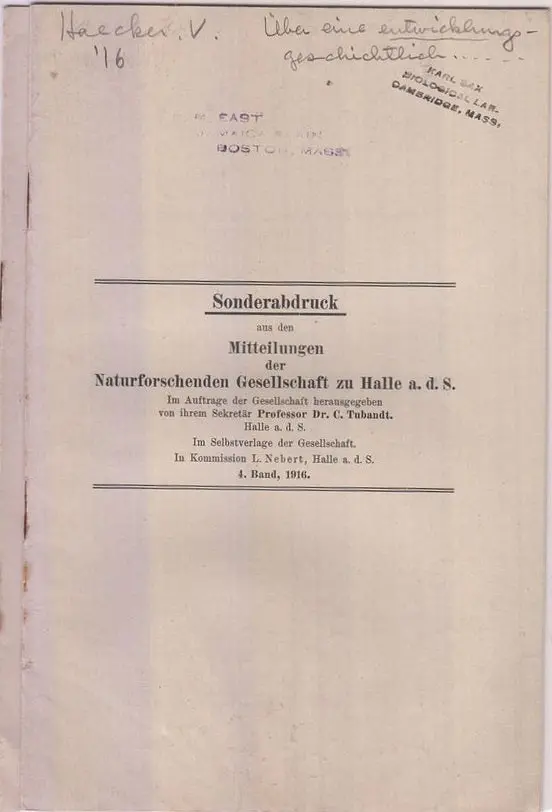 Uber Eine Entiwcklungsgeschichtlich Begrundete Vererbungsregel  By Haecker, V. 1