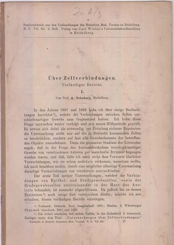 Uber Zellverbindungen  By Schuberg, A 1