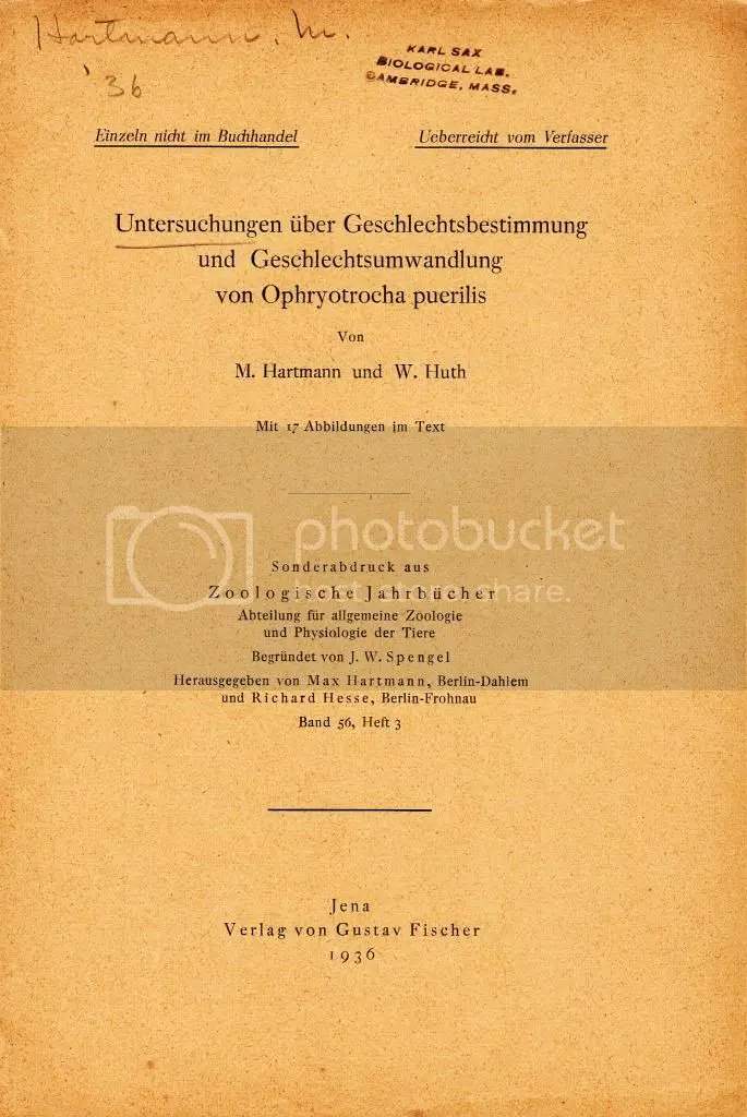 Untersuchungen Uber Geschlechtsbestimmung Und Geschlechtsumwandlung Von Ophryotrocha Puerilis  By Hartmann, M., And Huth, W. 1