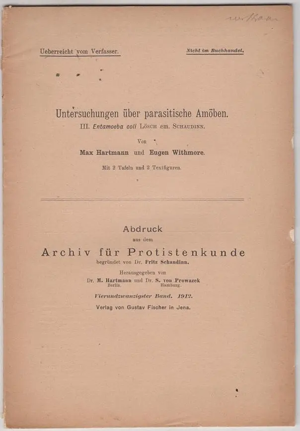 Untersuchungen Uber Parasitische Amoben. Iii. Entamoeba Coli Losch Em Schaudinn 1