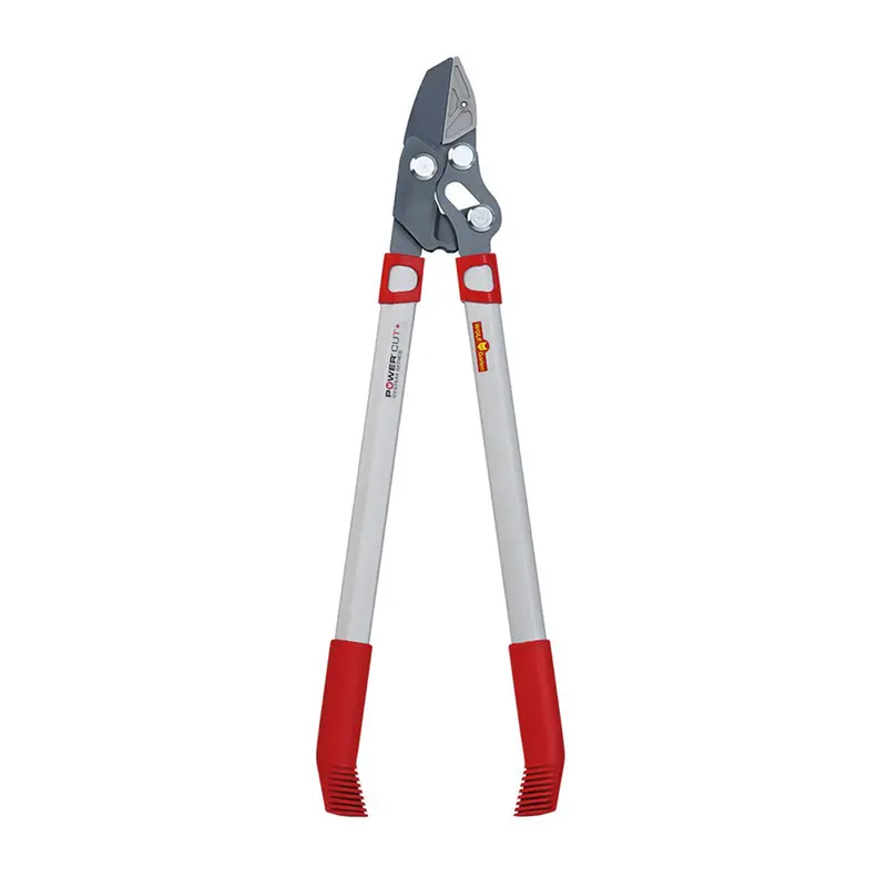 Wolf-Garten Rs 650 Anvil Loppers - Perfect For All Those Branches That Are Just Out Of Reach 1