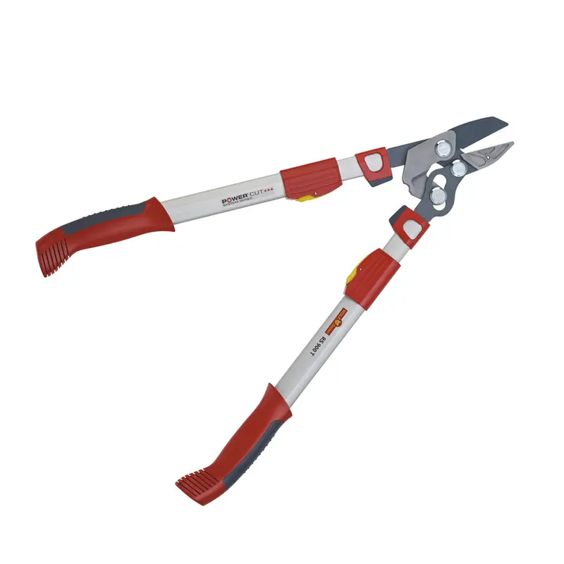 Wolf-Garten Rs 900T Anvil Loppers - Perfect For All Those Branches That Are Just Out Of Reach 1