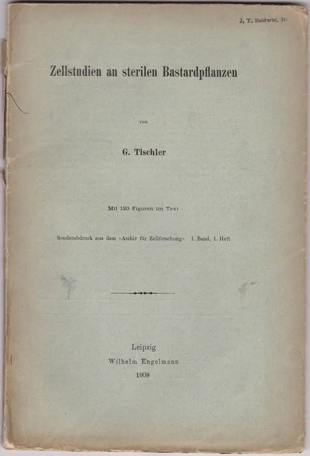Zellstudien An Sterilen Bastardpflanzen 1