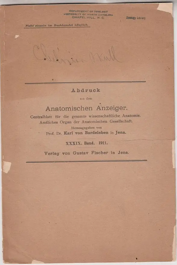 Zur Entwickelungsgeschichte Und Vergleichenden Morphologie Des Schildkrotenschadels 1