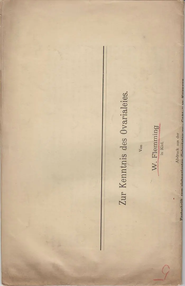 Zur Kenntnis Des Ovarialeies 1