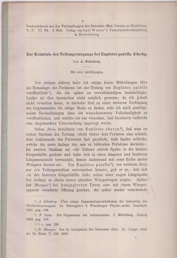 Zur Kenntnis Des Teilungsvorgangs Bei Euplotes Patella Ehrbg  By Schuberg, A. 1