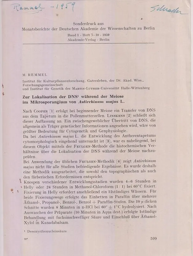 Zur Lokalisation Der Dns Wahrend Der Meiose Im Mikrosporangium Von Antirrhinum Majus L.  By Remmel, M. 1