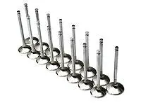 Brian Crower Toyota 2Jzgte/Lexus 2Jzge 29Mm Exhaust Valves 1
