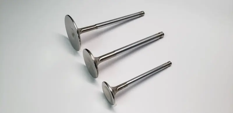 Ferrea Ford 2.3L Zetec Std Intake Valve Guide - Set Of 8 (Use W/Vs1001) 1